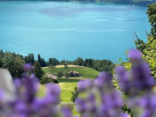 Aeschlen ob Gunten Apartment | Sweet Retreat W Dreamy Lakeviews
