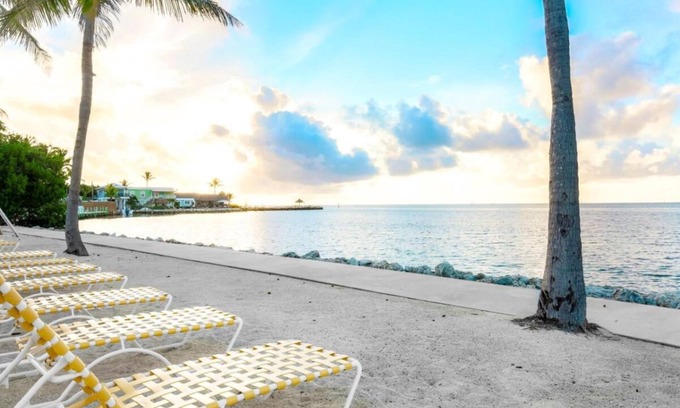 Islamorada Apartment | Swim with Dolphins in the Florida Keys! FREE Breakfast & Parking, Marina, Pool!