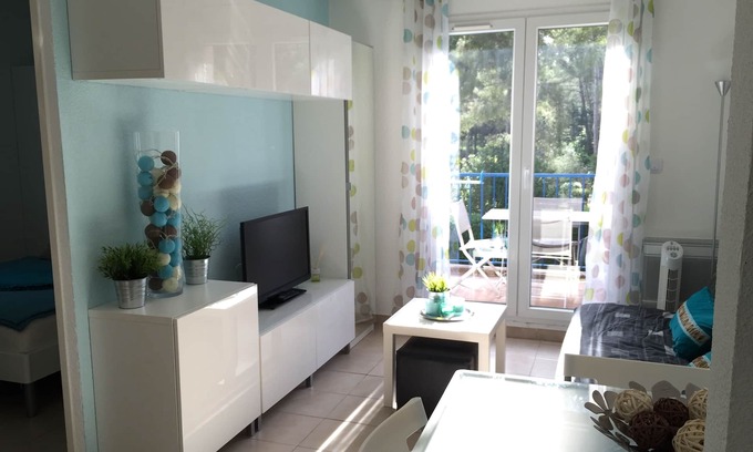 Sanary-sur-Mer Apartment | T2, 1 bedroom, 100 m from the beach, private swimming pool and parking, air conditioning, WIFI, linen included