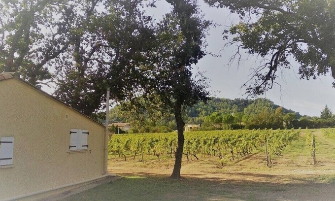 Vidauban House | Talo Tammien Alla