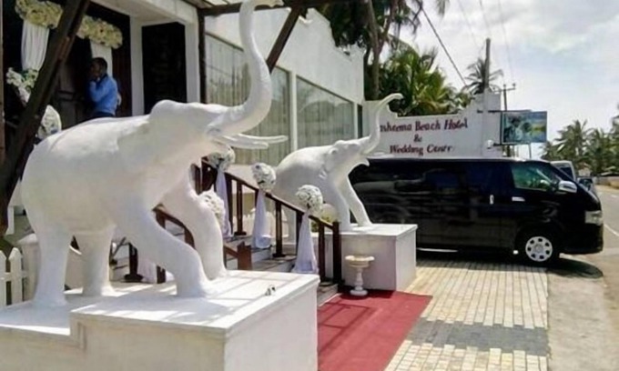 Kosgoda Hotel | Tasheema Beach Resort