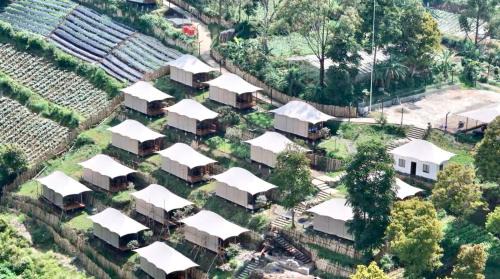 Parongpong Villa | Tebing View Glamping, Azana Hotels Collection