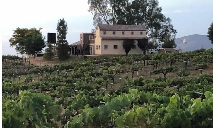 Temecula House | Temecula Wine Country Home on 5 Acre Vineyard