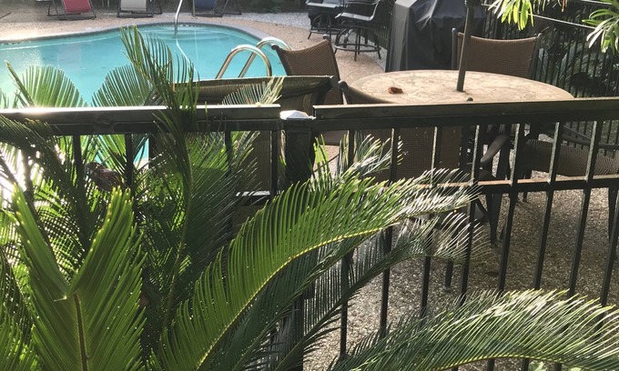 Garden Oaks Apartment | Ten to Zen