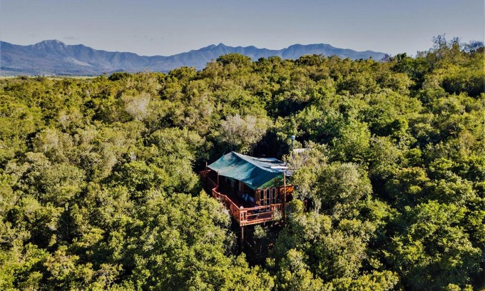 Knysna Other | Teniqua Treetops
