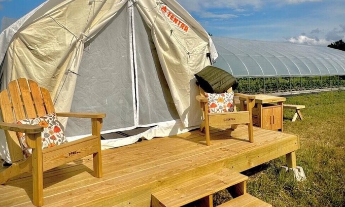Spring Hill RV Rental | Tentrr Signature Site - Allenbrooke Farms Glamping Site 1
