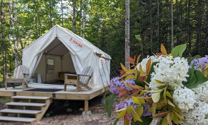 Chatham RV Rental | Tentrr Signature Site - Switchback @butterhillhideaway