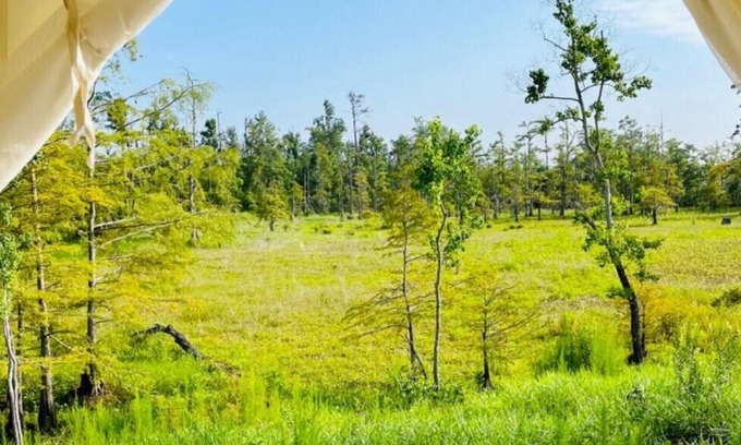 Lake Charles RV Rental | Tentrr State Park Site - Louisiana Sam Houston Jones State Park - Lagoon View G