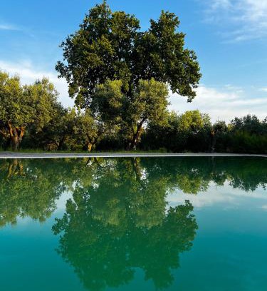 Sessa Aurunca House | Tenuta Paino