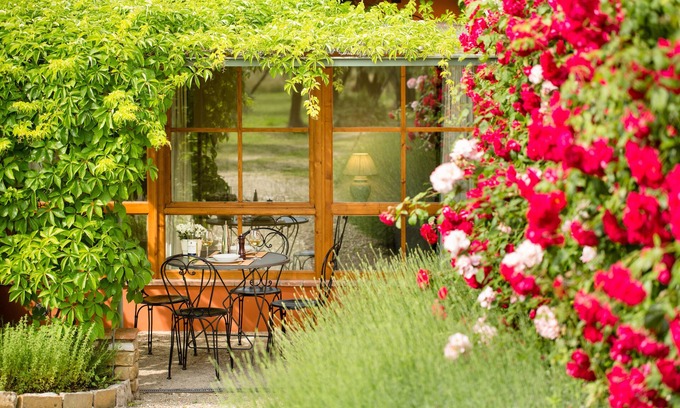 San Gersole-Torre Rosse Other | Tenuta Torre Rossa Farm & Apartments