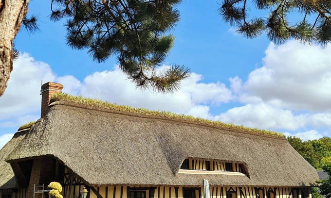 Sainte-Helene-Bondeville House | Thatched cottage at the anemone pond