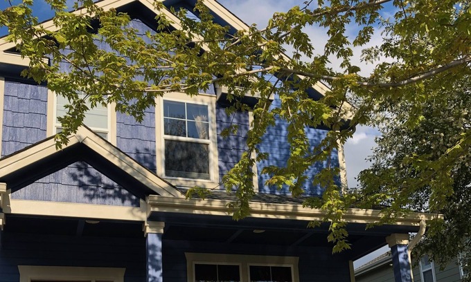 Lafayette House | The Art House