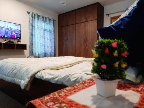 Nishat-Shalimar House | The Beauty Inn