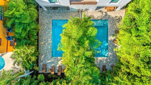 Siesta Key Village House | The Big Kahuna