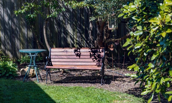Woodend Bed & Breakfast | The birch bed and breakfast