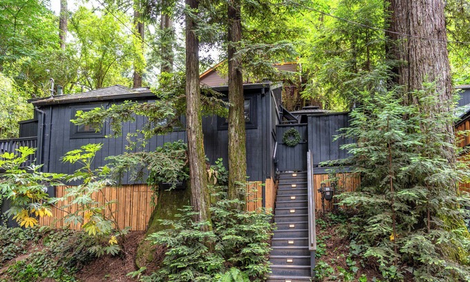 Guerneville Cabin | The Black Nest~Stunning and Serene Redwood Retreat 5 Stars! WIFI/HotTub/Pup