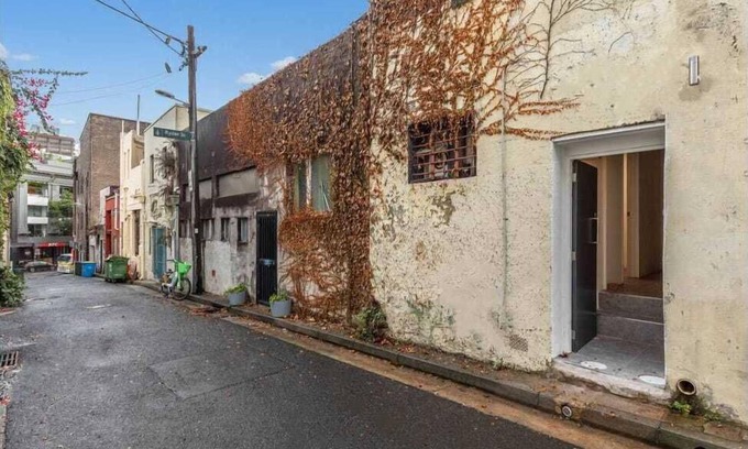Darlinghurst House | The Brass Bear in Darlinghurst