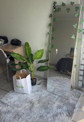 Braamfontein Apartment | The Bridgeview