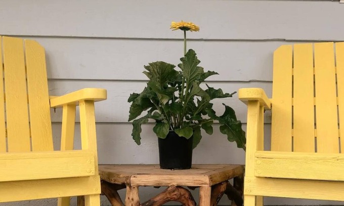 Youbou House | The Cabin with the Yellow Door on Beautiful Lake Cowichan