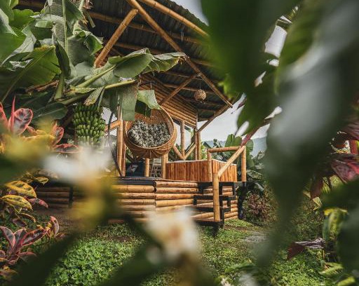 La Estrella Hotel | The Coffee Club Campestre