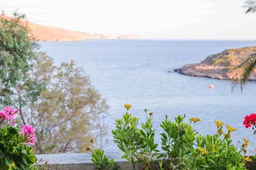 Mpatsi House | The cozy nest:)