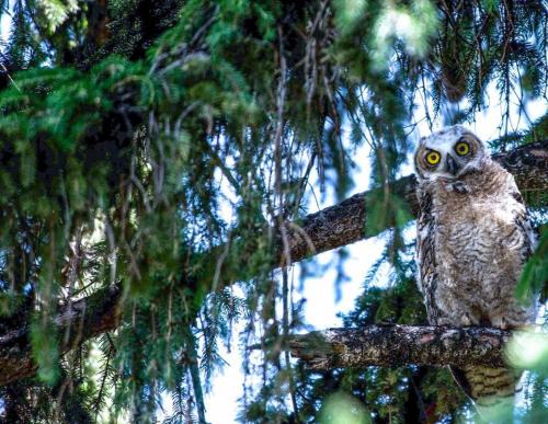 Hamilton House | The Fullerton House
