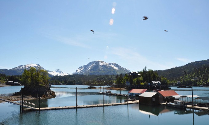 Halibut Cove Cabin | The Green Cabin