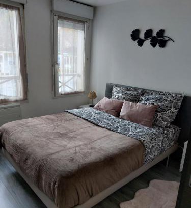 Savigny-sur-Orge Apartment | The Heynyss'Grace