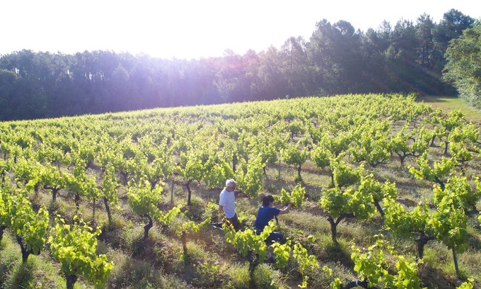 Mormoiron House | The Kings Slackers Nature Cottage Ventoux 4 to 9 Pers, 8ha of greenery, plan of water