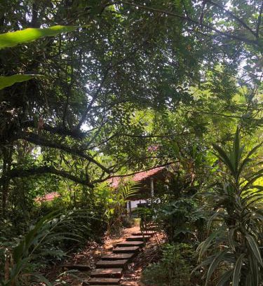 Bhagamandala House | The Linger Farm
