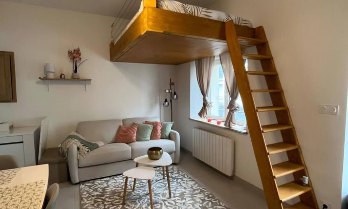 Romorantin-Lanthenay Apartment | The little "Sunshine" cosy