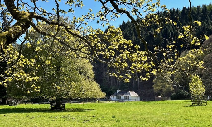 Galashiels Cottage | The Lodge at The Yair - Riverside comfort in the Scottish Borders