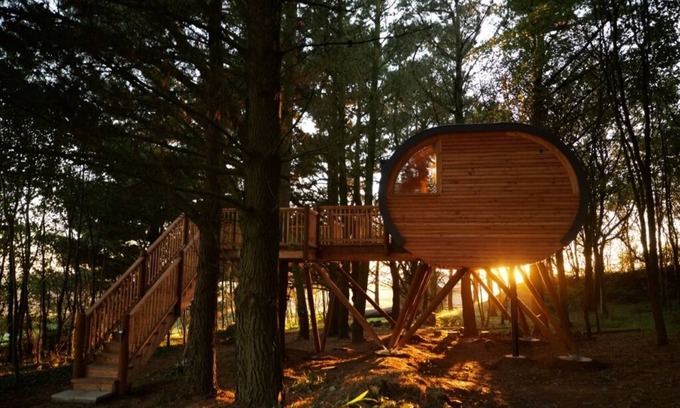 Putsborough House | The Loft at Pickwell Manor- A unique and wonderful treehouse with an ocean view
