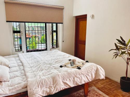 Gunehr House | The Luna