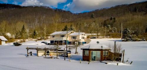 Ellicottville House | The Maples - Hot tub! Amazing views, pets welcomed