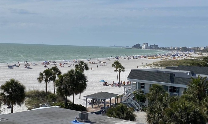 Largo Apartment | The Mermaid and the Sea Turtle