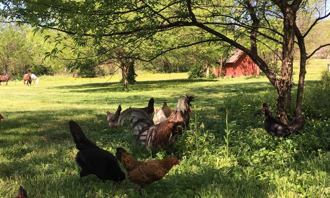 Nolensville Other | The Milk Barn at Artesian Springs, Nolensville, TN