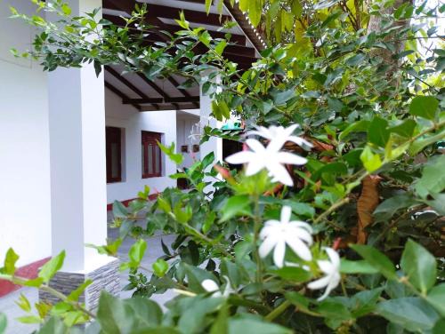 Weligama House | The Nest