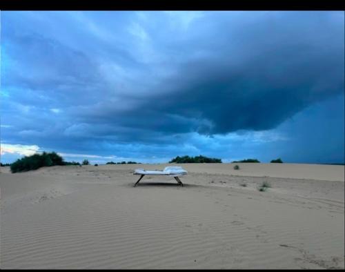 Jaisalmer Resort | The pallan desert Safari