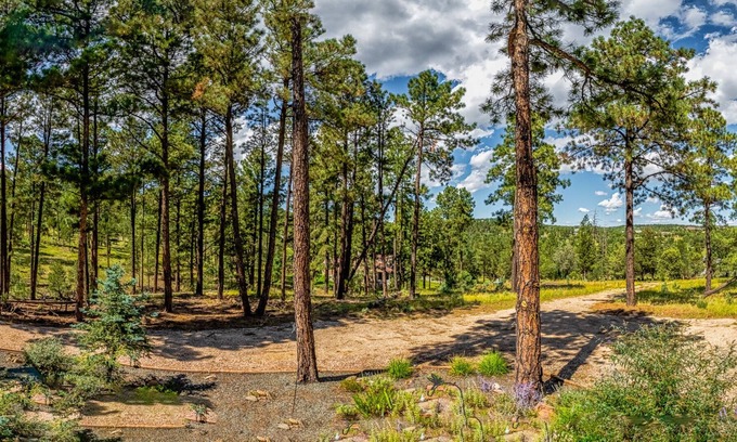 Alto House | The Peaceful Nest: 3 Bedrooms, Beautiful Scenery, Quiet Surroundings, AND a Hot Tub!