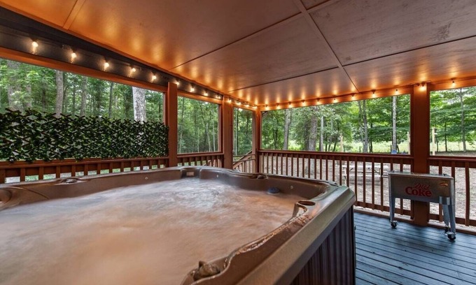 Blairsville Cabin | the racoons nest in Copperhead Lodge