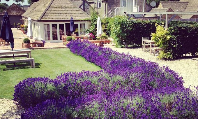 Minchinhampton House | The Ragged Cot