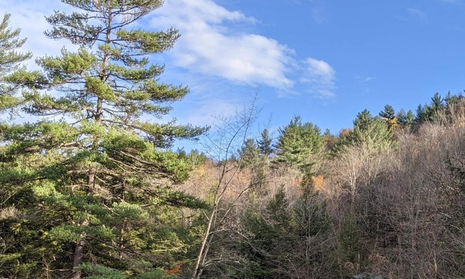 Glenfield Cabin | The River Pines