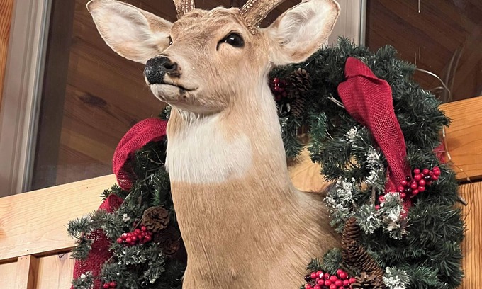 Fountain Run Cabin | The Shady Pine @ Barren River Lake,KY~Luxury Cabin, NOW BOOKING FOR THE HOLIDAYS