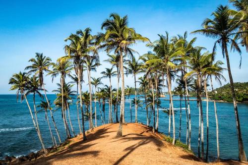 Mirissa Resort | The Spring Holiday