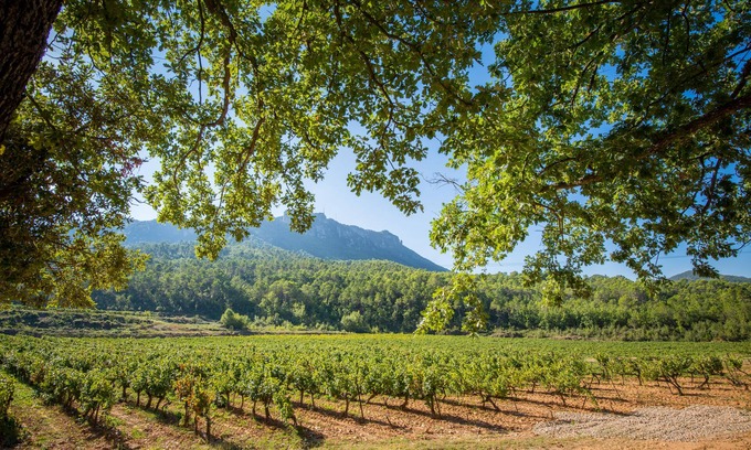 La Celle House | The Syrah and Chardonnay villas: 10 superb rooms in the heart of a vineyard.