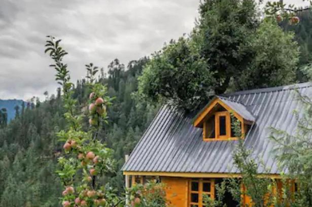Banjar Ski Chalet | THE TREE HOUSE JIBHI ,Swastika Aashiyana