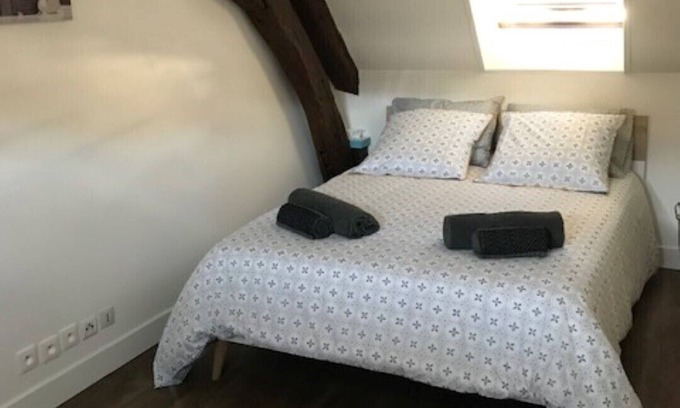 Romorantin-Lanthenay Apartment | The Vieux Fossés duplex