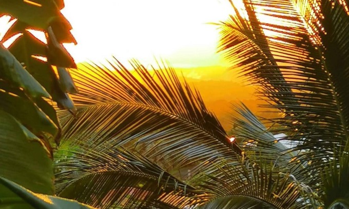 Riviere-Salee Apartment | The yole countryside view