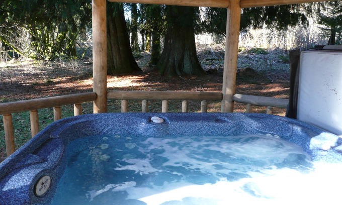 Ashford Cabin | This historic cabin is just a few miles from Mt Rainier National Park. Pet friendly. Fish pond, pastures, old cedars, 11-acres. Private hot tub surrounded by grove of old cedars.